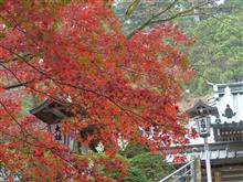 11月23日月曜日(勤労感謝の日)の日記 11月23日月曜日(勤労感謝の日)の日記