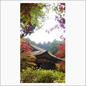 尾張から近江へ  （2015 ...