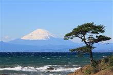 立石公園から見る富士山