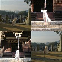 早いもんで11月も～……。