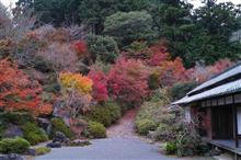 紅葉撮影2015 in 大阪 