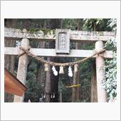 のんびり金持神社参拝カツカレ ...