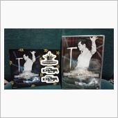 矢沢DVD