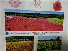 セーラからの旅だより    1