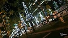 イルミを見るなら尾根遺産と🎄