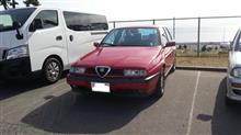 SHCCの一般駐車場で見たクルマ