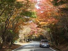 富士南麗と猿橋の紅葉