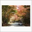 富士南麗と猿橋の紅葉