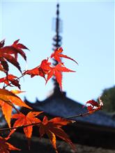 11月28日 嫁さんサービスでい♪ 11月28日 嫁さんサービスでい♪