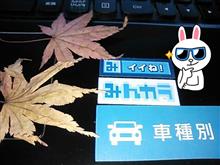東北お国自慢おふin宮城松島2015(通称牡蠣おふ)(ノ^^)ノ 東北お国自慢おふin宮城松島2015(通称牡蠣おふ)(ノ^^)ノ