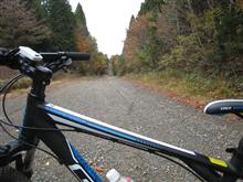 ハチ北ダート（ 瀞川氷ノ山林道の北側）を自転車で試走