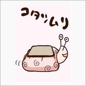 奈良ニュルってなに？？(゜ロ ...