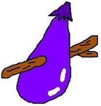 stick eggplant