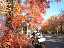 三色彩道　（大阪　吹田）