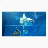 アクアワールド大洗水族館
