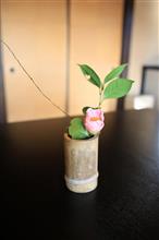 180ｋｍのランチ