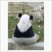 悲報…
