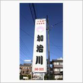 加治カツ丼 3枚　割烹 加治川