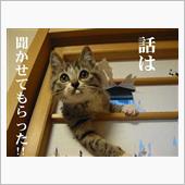 でぇ～つまり…