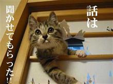 でぇ～つまり…