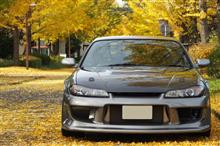【イチョウのカーペット】 愛車撮影 (並木編) 【SILVIA】