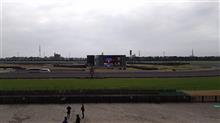 中京競馬場に来てます。(^o^)