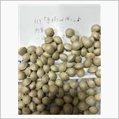 豆みたいなもの。。。