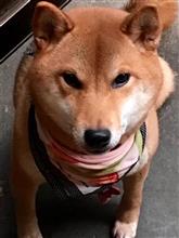 癒しですね〜(*^◯^*)