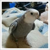 新たな人生