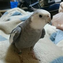 新たな人生