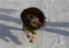雪道の楽しみ方
