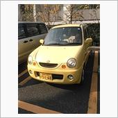 本日の希少車