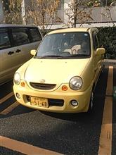 本日の希少車