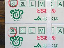 【 ふるさと 】 茨城県・筑西市 【 納税 】
