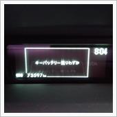 数日前から出始めていましたが