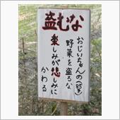 NPO法人　瑞鳳たべりゅう教 ...