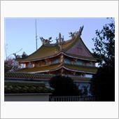 きんぴか寺院　スカブで散歩