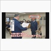 滅多に頑張れと言わないボクで ...