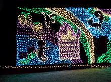 昭和記念公園のイルミネーションとららぽーとへ