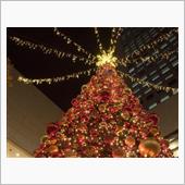 クリスマスウイーク！！
