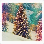 A Happy Holida ...