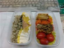 本日のサラ飯
