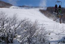 年末家族スキー 快晴の栂池を滑りました。