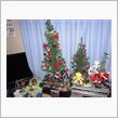 今年もアッガイツリー飾りました♪