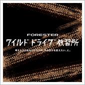 ワイルドドライブ教習所
