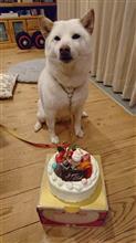 バニークリスマス～(^o^)……。