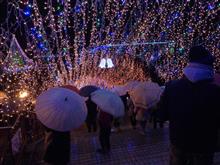 １２月２３日水曜日（天皇誕生日）の日記