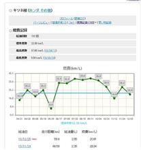 どうもダメなんですよぉ・・・。