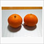 ☆2015.12月 ～今年最 ...