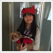 Merry Christma ...